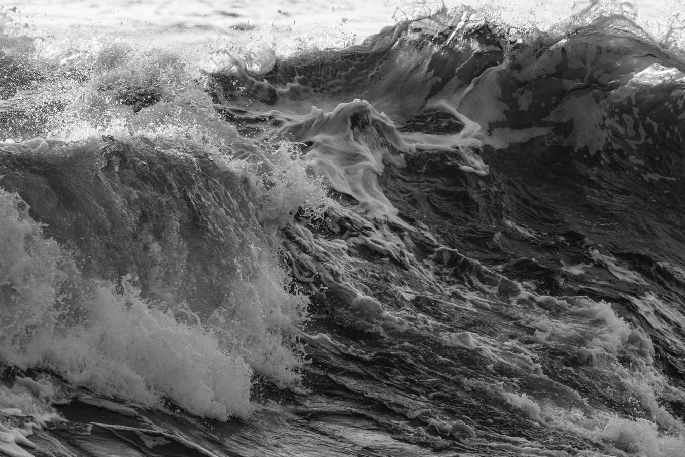 Emoções & Prestígio