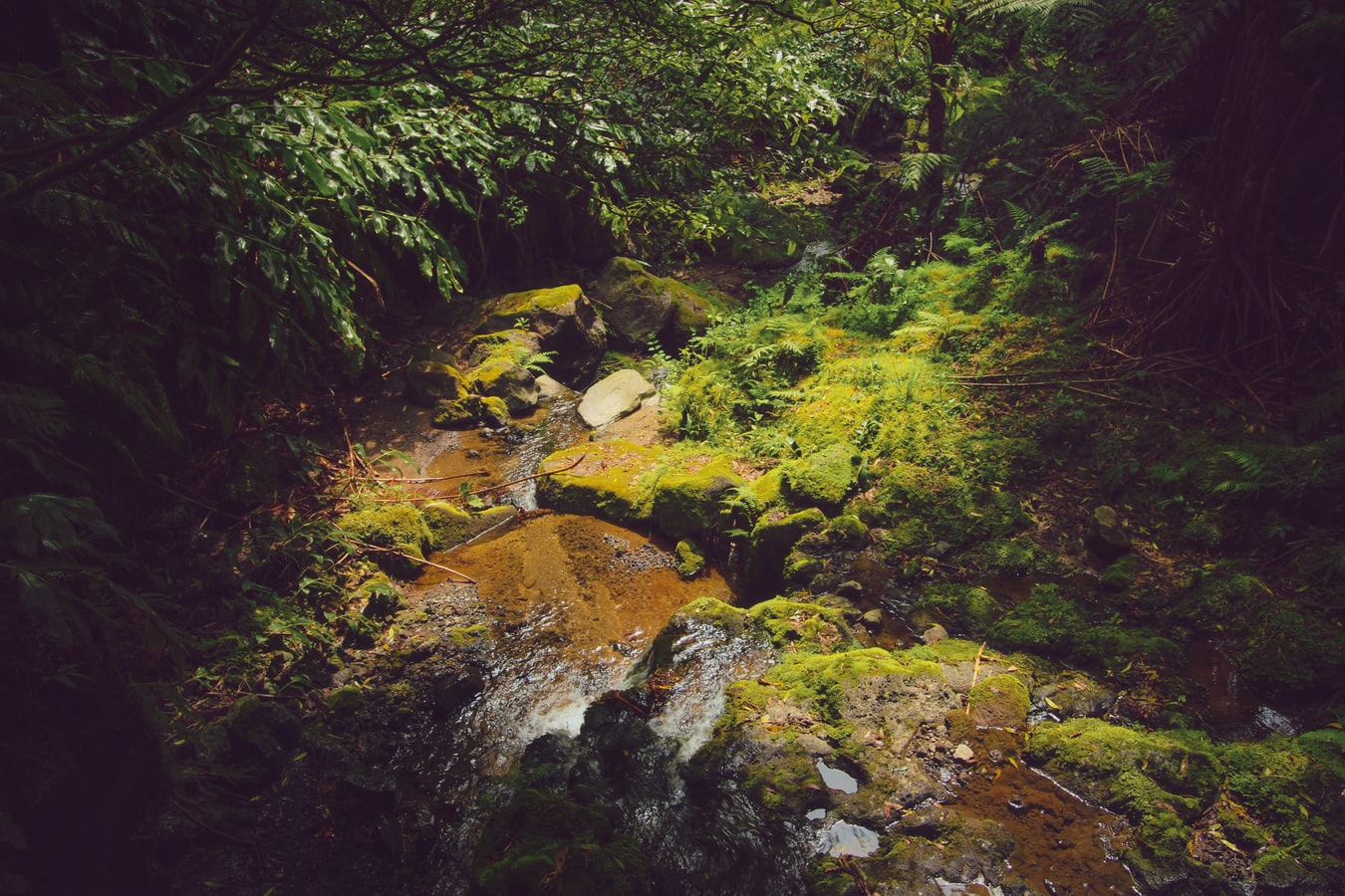 Açores | Terceira - Emoções & Prestígio