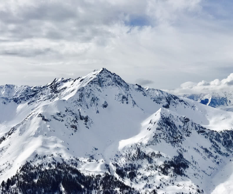 Neve - Emoções & Prestígio